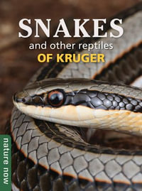 Snakes and other reptiles of Kruger : Nature Now - Johan Marais