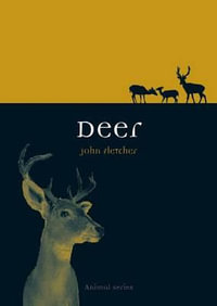 Deer : Animal Series - John Fletcher