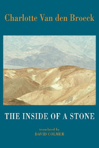 The Inside of a Stone - Charlotte Van den Broeck