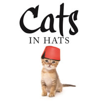 Cats in Hats - Kat Scratching