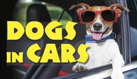 Dogs in Cars - Jack Russell