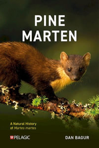 Pine Marten : The Secret Life of Martes martes - Dan Bagur