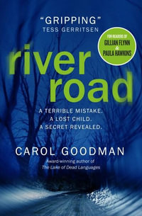 River Road : A Terrible Mistake. A Lost Child. A Secret Revealed. - Carol Goodman