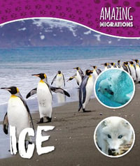 Ice : Amazing Migrations : Amazing Migrations - Harriet Brundle