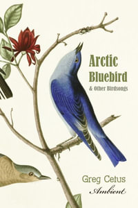 Arctic Bluebird and Other Birdsongs : Ambient Soundscape for Meditation - Greg Cetus