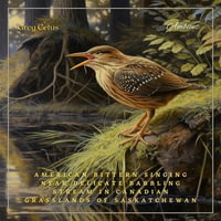 American Bittern Singing Near Delicate Babbling Stream in Canadian Grasslands of Saskatchewan : Ambient Audio for Deep Sleep and Relaxation - Greg Cetus
