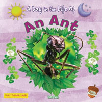 An Ant : A Day in the Life of - Ruth Owen