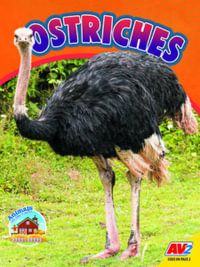 Ostriches : Animals on the Farm - Sierra Wilson