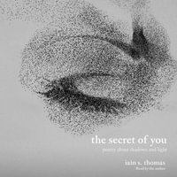 The Secret of You : Poetry About Shadows and Light - Iain S. Thomas