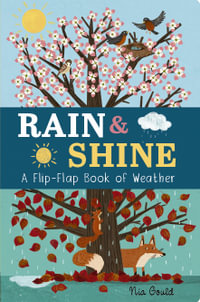 Rain and Shine : A Flip-Flap Book of Weather - Molly Littleboy