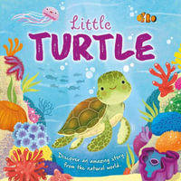 Nature Stories : Little Turtle-Discover an Amazing Story from the Natural World: Padded Board Book - Igloobooks