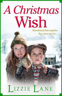 A Christmas Wish - Lizzie Lane