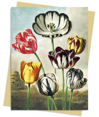 Temple of Flora: Tulips Greeting Card Pack : Pack of 6 - Flame Tree Studio