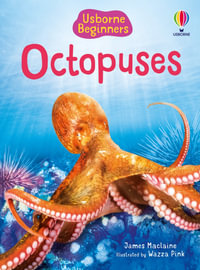 Beginners Octopuses : Beginners - James Maclaine