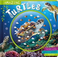 Amazing Turtles - Naomi Churn