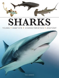 Sharks & Underwater Predators : Mini Animals - Tom Jackson