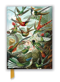 Ernst Haeckel : Hummingbirds (Foiled Journal) : Flame Tree Notebooks - Flame Tree Studio