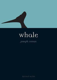 Whale : Animal Series - Joe Roman