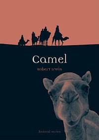 Camel : Animal Series - Robert Irwin