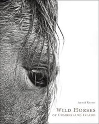 Wild Horses of Cumberland Island - ANOUK MASSON KRANTZ