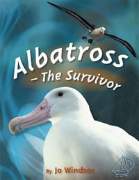 MainSails Level 3: Albatross - The Survivor : MainSails - Jo Windsor