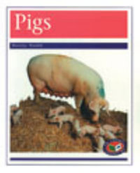 Pigs : PM Library Purple - Beverley Randell