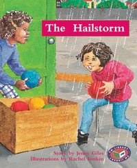 The Hailstorm : PM Library Turquoise - Jenny Giles