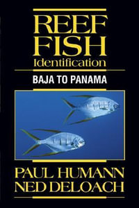 Reef Fish Identification : Baja to Panama - Paul Humann