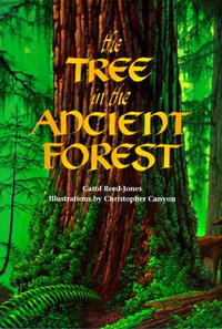 The Tree in the Ancient Forest - Christopher Canyon