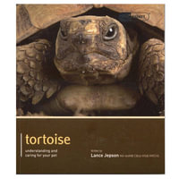 Tortoise - Pet Expert : Understanding and Caring for Your Pet - Lance Jepson