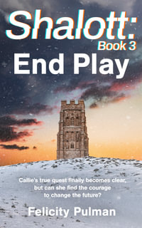 Shalott : End Play: End Play - Felicity Pulman