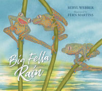 Big Fella Rain - Beryl Webber