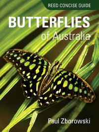 Reed Concise Guide: Butterflies of Australia : Reed Concise Guide - Paul Zborowski