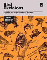 Bird Skeletons : Copyright-Free Images for Artists & Designers - Kale James