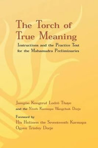 Torch of True Meaning : Instructions and the Practice for the Mahamudra Preliminaries - Jamgon Kongtrul Lodro Thaye