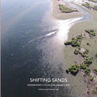 Shifting Sands : Sedimentary Cycles for Jamaica Bay - Catherine Seavitt Nordenson