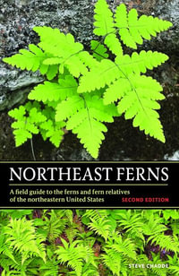 Northeast Ferns : A Field Guide to the Ferns and Fern Relatives of the Northeastern United States - Steve W. Chadde