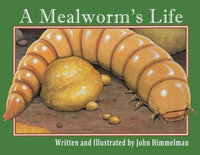 A Mealworm's Life - John Himmelman