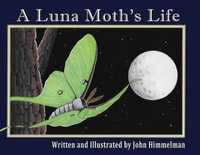 A Luna Moth's Life : Nature Upclose - John Himmelman