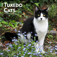 Tuxedo Cats - 2024 Wall Calendar - Browntrout