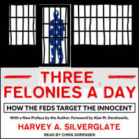 Three Felonies A Day : How the Feds Target the Innocent - Harvey A. Silverglate
