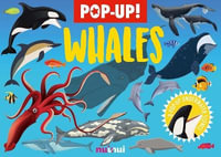 Nature's Pop-Up : Whales And Dolphins - DAVID HAWCOCK