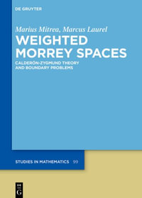 Weighted Morrey Spaces : Calderon-Zygmund Theory and Boundary Problems - Marcus Laurel