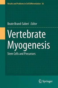 Vertebrate Myogenesis : Stem Cells and Precursors - Beate Brand-Saberi