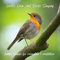 Gentle Rain and Birds Singing - Pure Nature Sounds for Relaxation & Meditation : Nature Sounds for Relaxation & Meditation : Book 1 - Nature Sounds Therapy