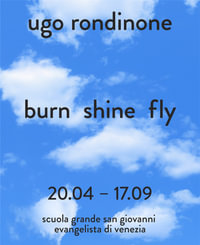 Ugo Rondinone (Bilingual edition) : burn shine fly - Jarrett Earnest