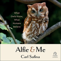 Alfie and Me : What Owls Know, What Humans Believe - Carl Safina