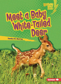 Meet a Baby White-Tailed Deer : Lightning Bolt Books (R) -- Baby North American Animals - Tamika M. Murray