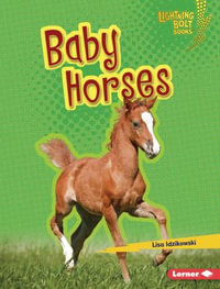 Baby Horses : Lightning Bolt Books ® - Horse Lover's Library - Lisa Idzikowski