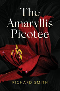 The Amaryllis Picotee - Richard Smith